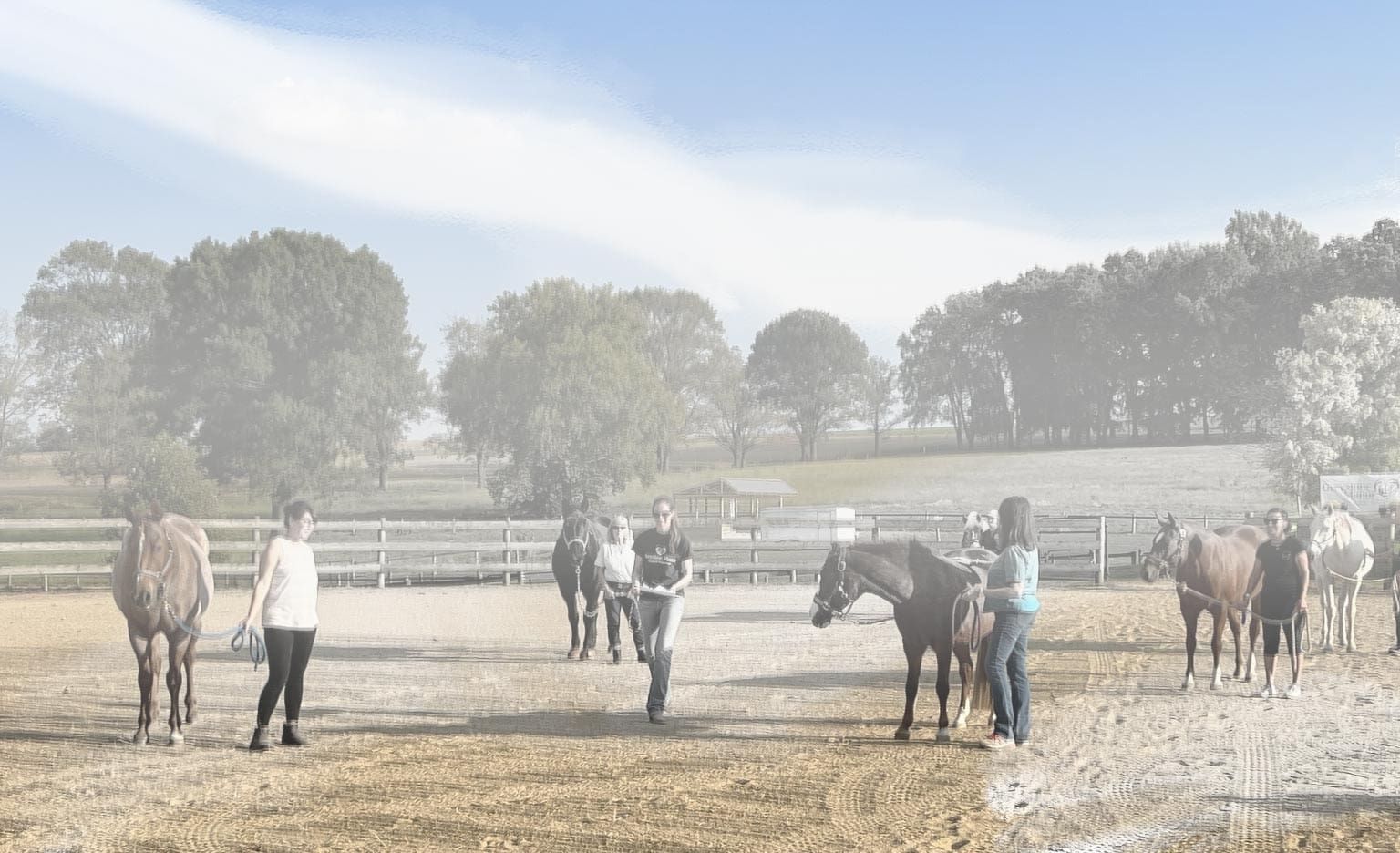 Greystone Manor Therapeutic Riding Center