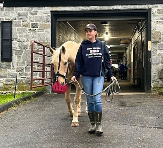 adopt-a-horse