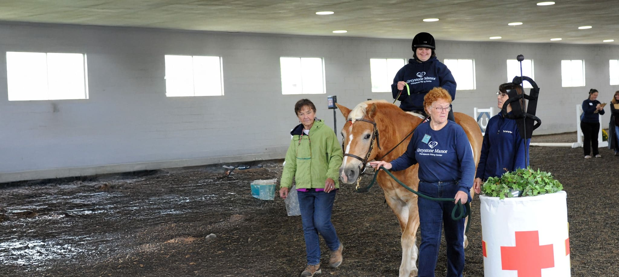 horsemanship lessons