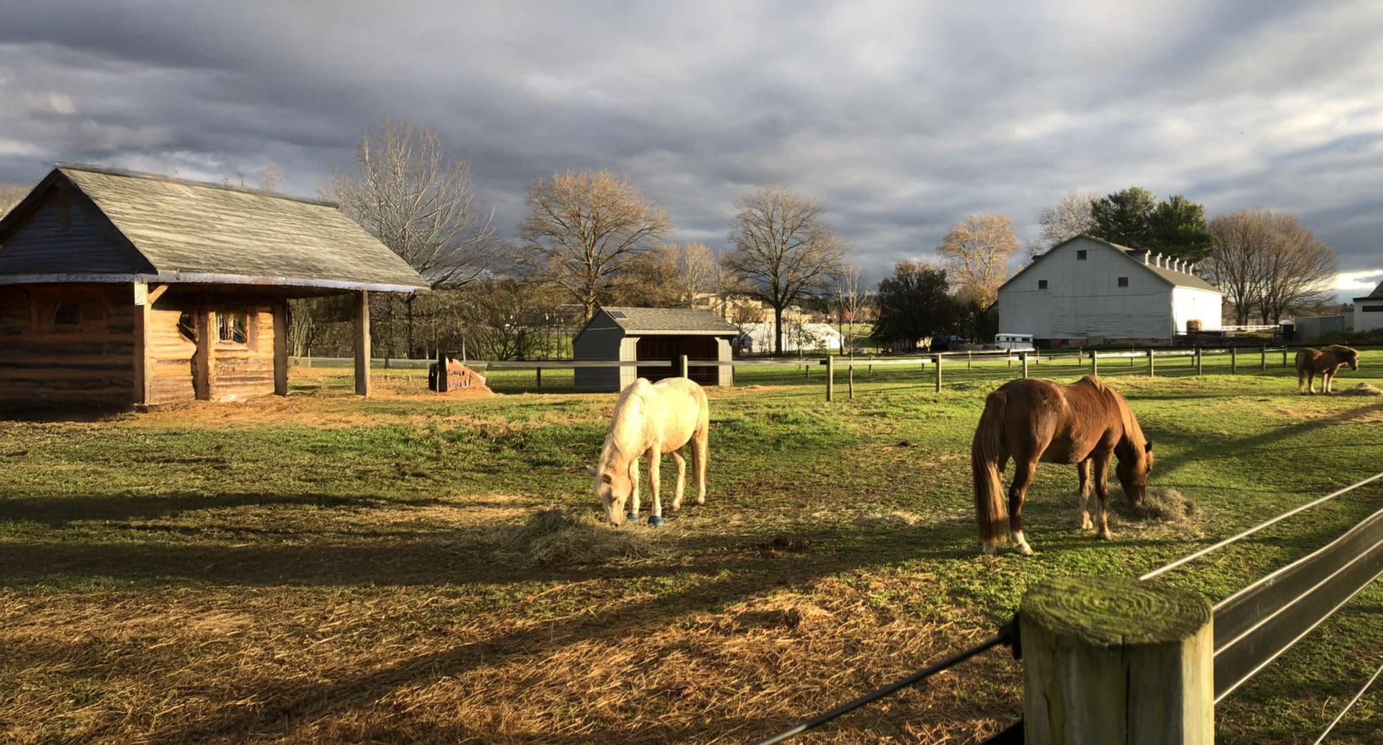 Greystone Manor Therapeutic Riding Center outside
