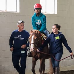 horse lessons right