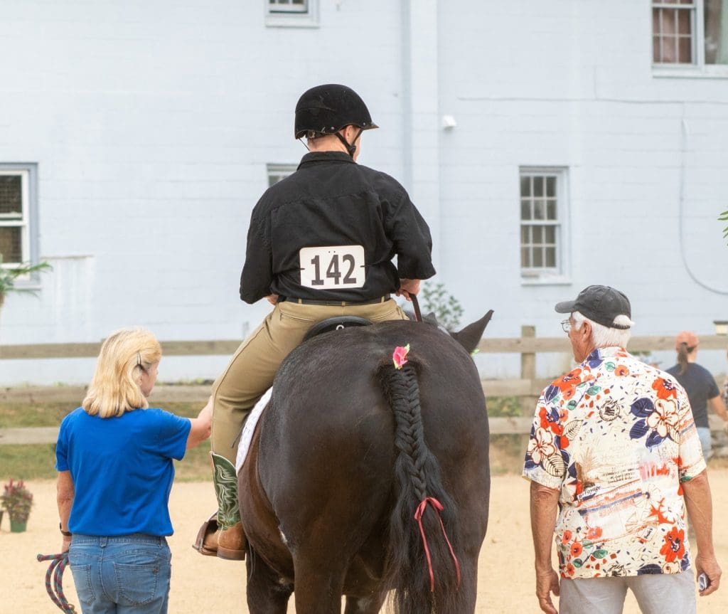 horse-show-events