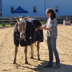 worker walking horse outside