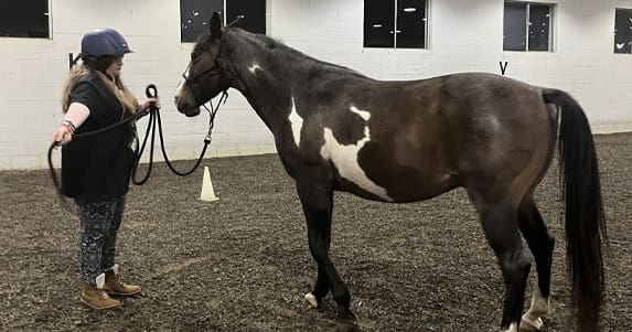 student-in-training-with-horse