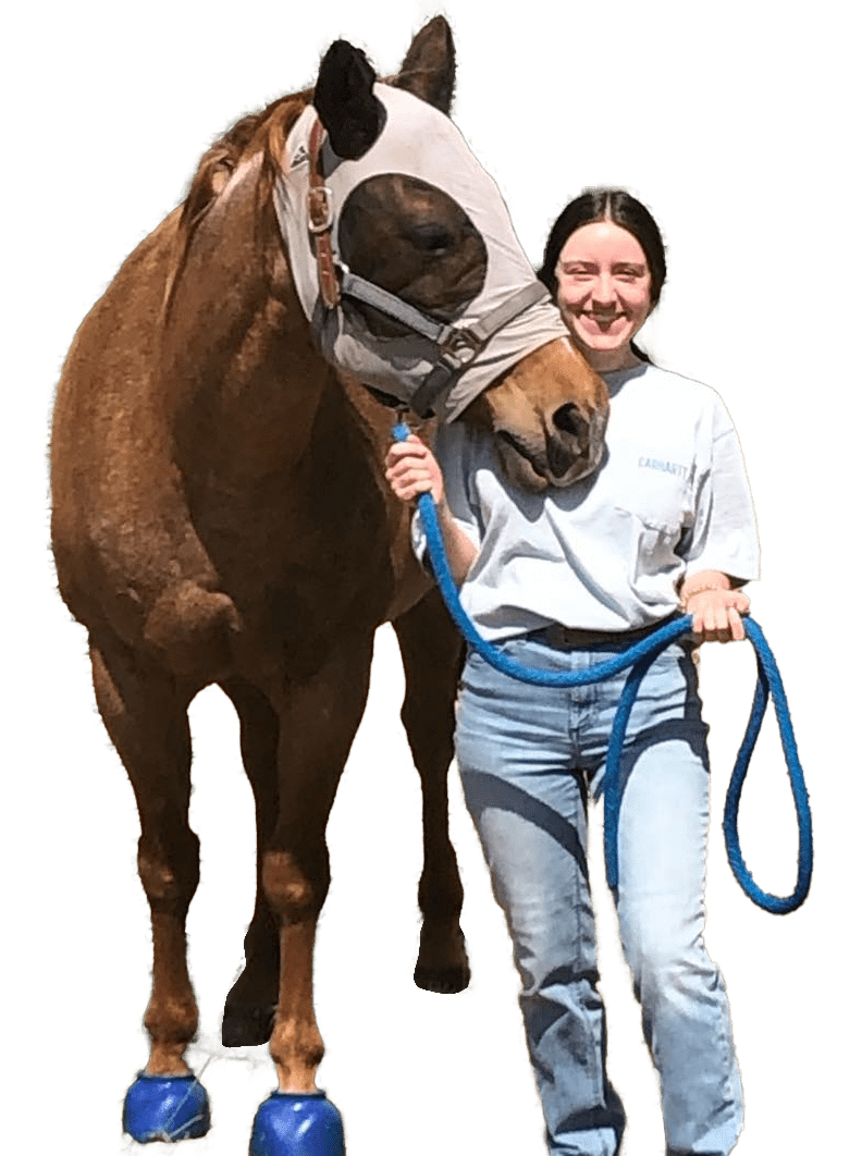 volunteer-with-horse