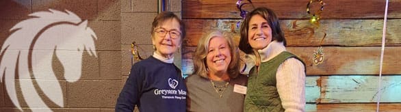 greystone support