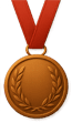 bronze award