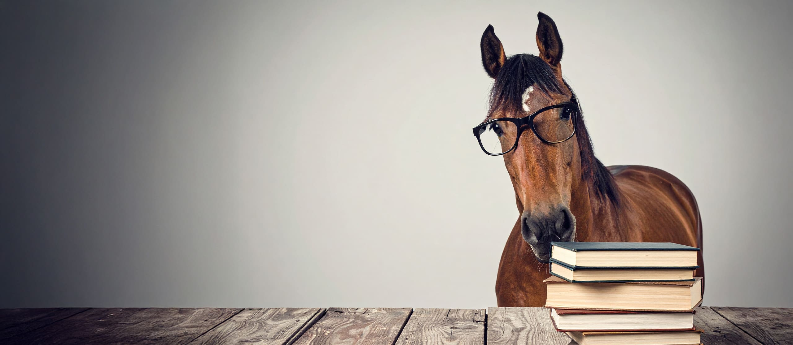 horse with glasses reading books