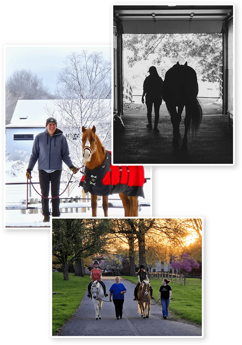 A collage of photos of people with horses.